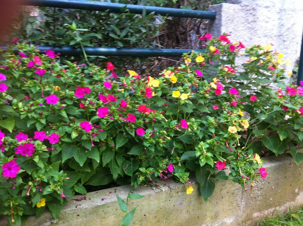 Guesthouse Liska โมสตาร์ ภายนอก รูปภาพ